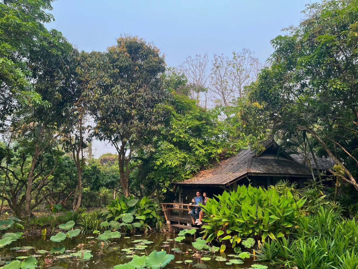 Tongluang Inthanon Homestay โต้งหลวงอินทนนท์โฮมสเตย์ Chom Thong Exterior foto